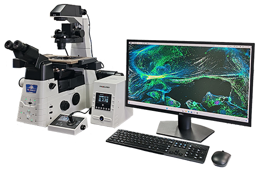 研究型全电动倒置显微镜CREATIVE I1-E