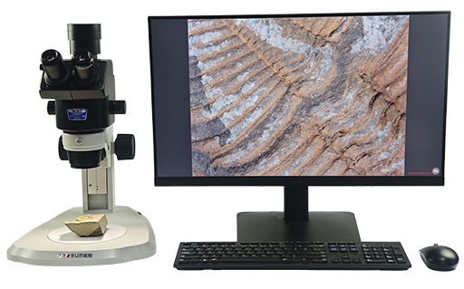 常规体视显微镜CREATIVE SM850