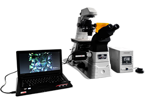 CREATIVE I1研究型倒置显微镜