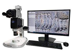 研究型体视显微镜CREATIVE SM1300