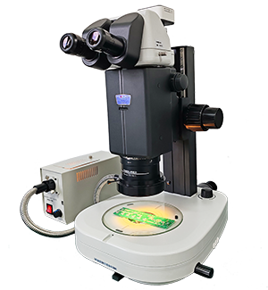 CREATIVE SM2000研究级体视显微镜